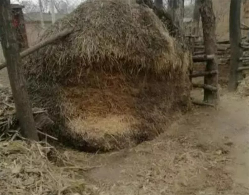 双桥流氓案件,双桥老流氓杀人案纪实