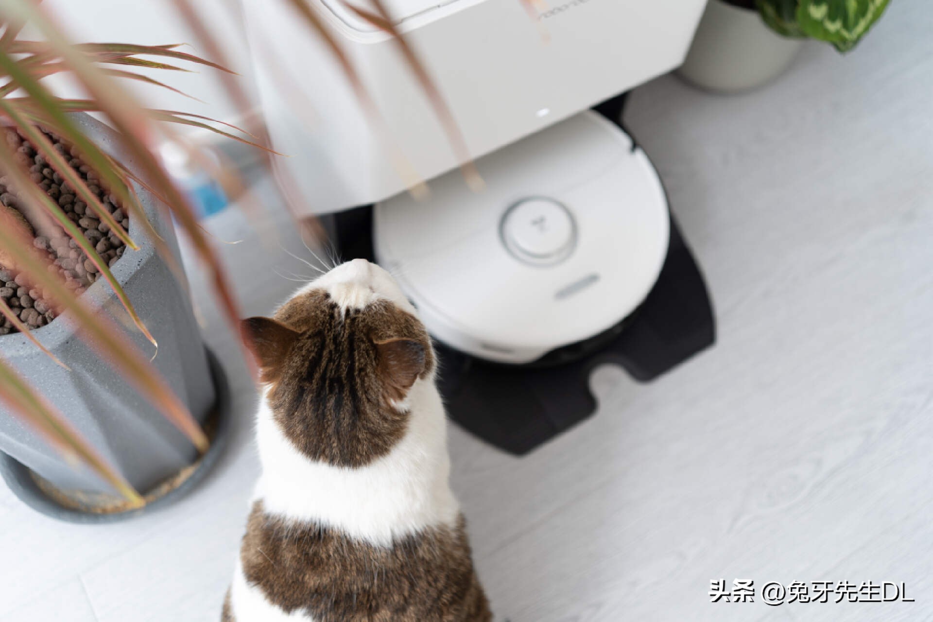 让家里劳动者解放双手，拥有这些实用的小家电将大幅提高生活品质