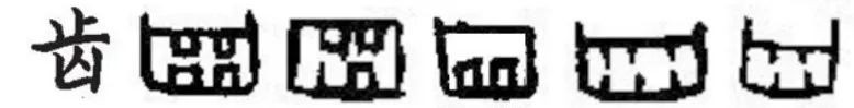 齿字的演变图片,齿字的小篆演变过程