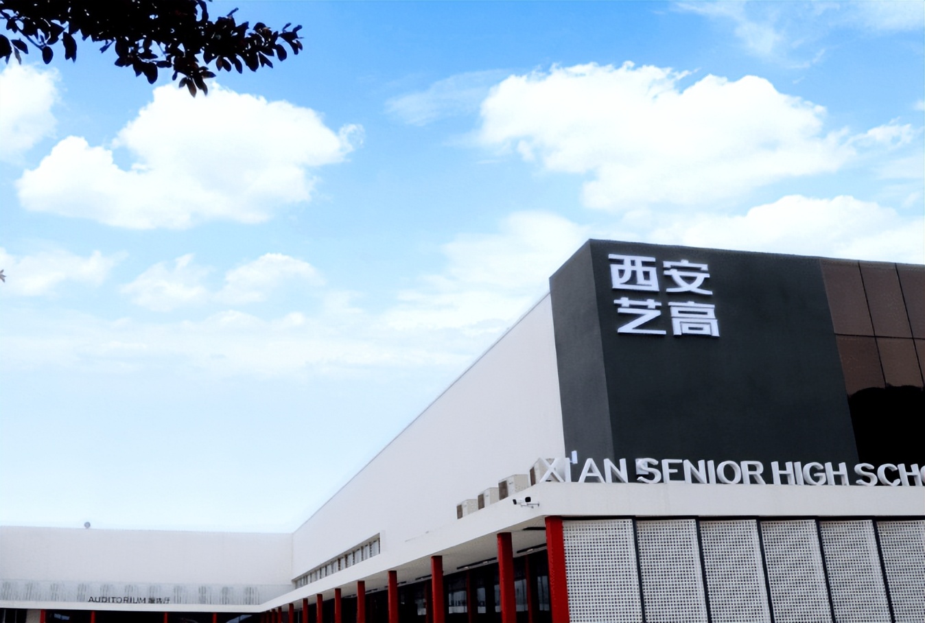 西安艺考舞蹈集训可以报哪些学校,西安艺考舞蹈学校推荐学生