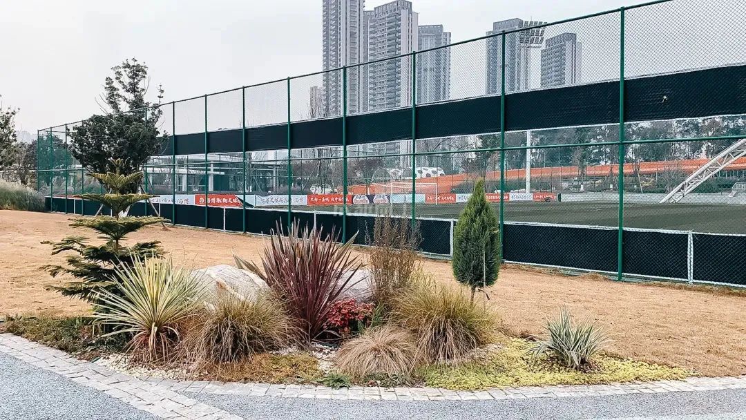 成都成华城东体育公园,成都成华体育公园