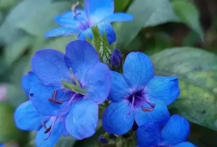 成功人士不轻易分享的自学秘诀,自学能力决定人生的高度和方法