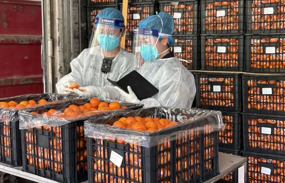 昆明海关促外贸稳增长,最新云南昆明海关消息