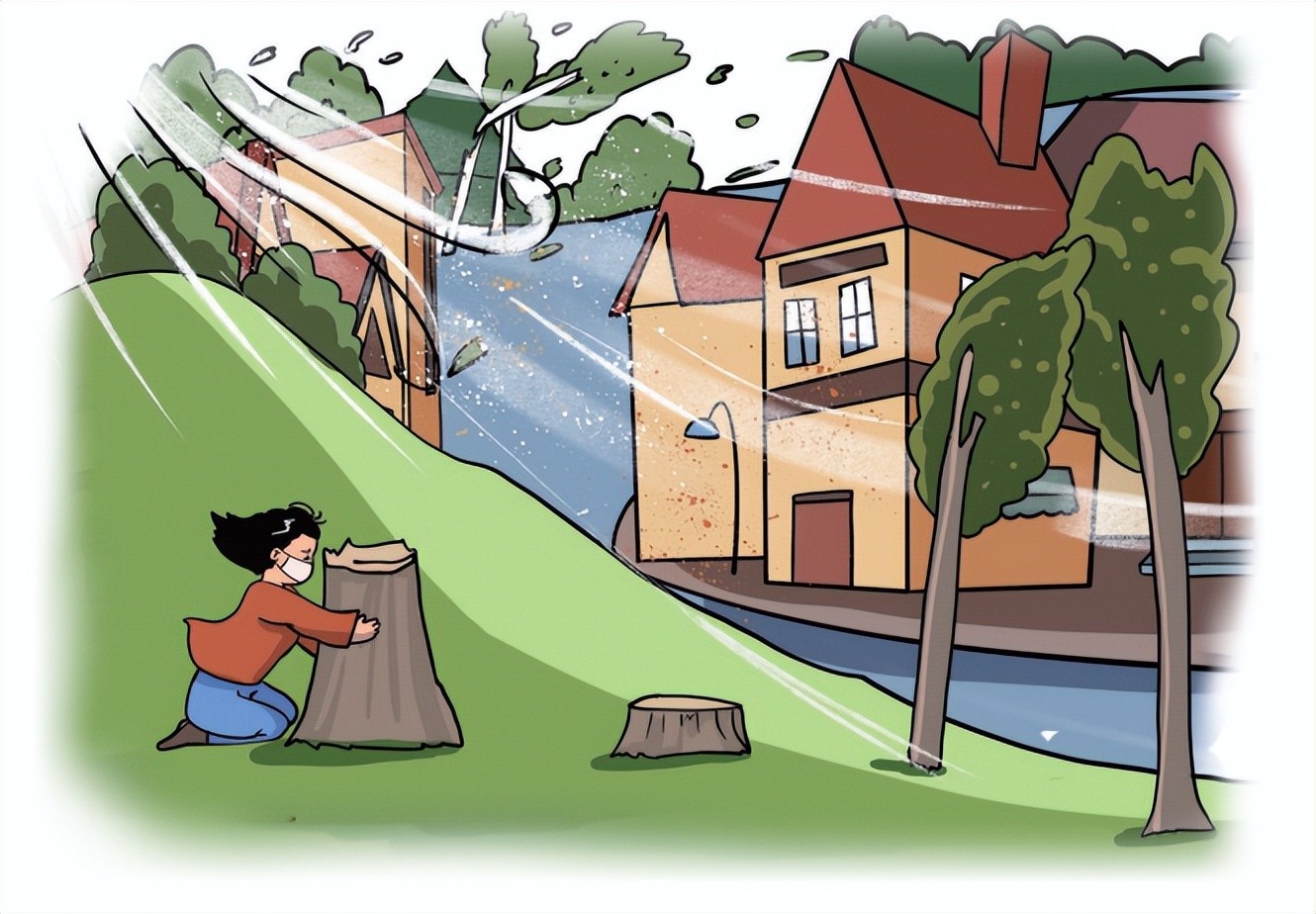 首发安行者|生活中的灾害（二）——风灾