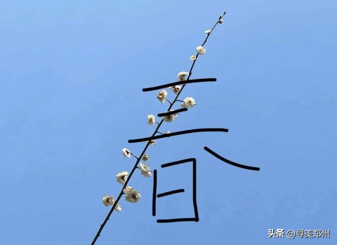 河南科技大学春景,河南科技职业大学校园春景