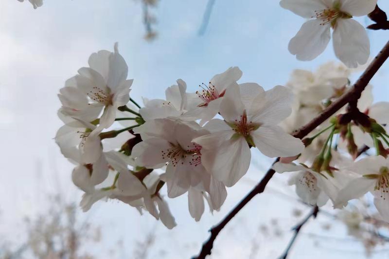 如何应对控制欲强的人,控制欲强的人最怕什么