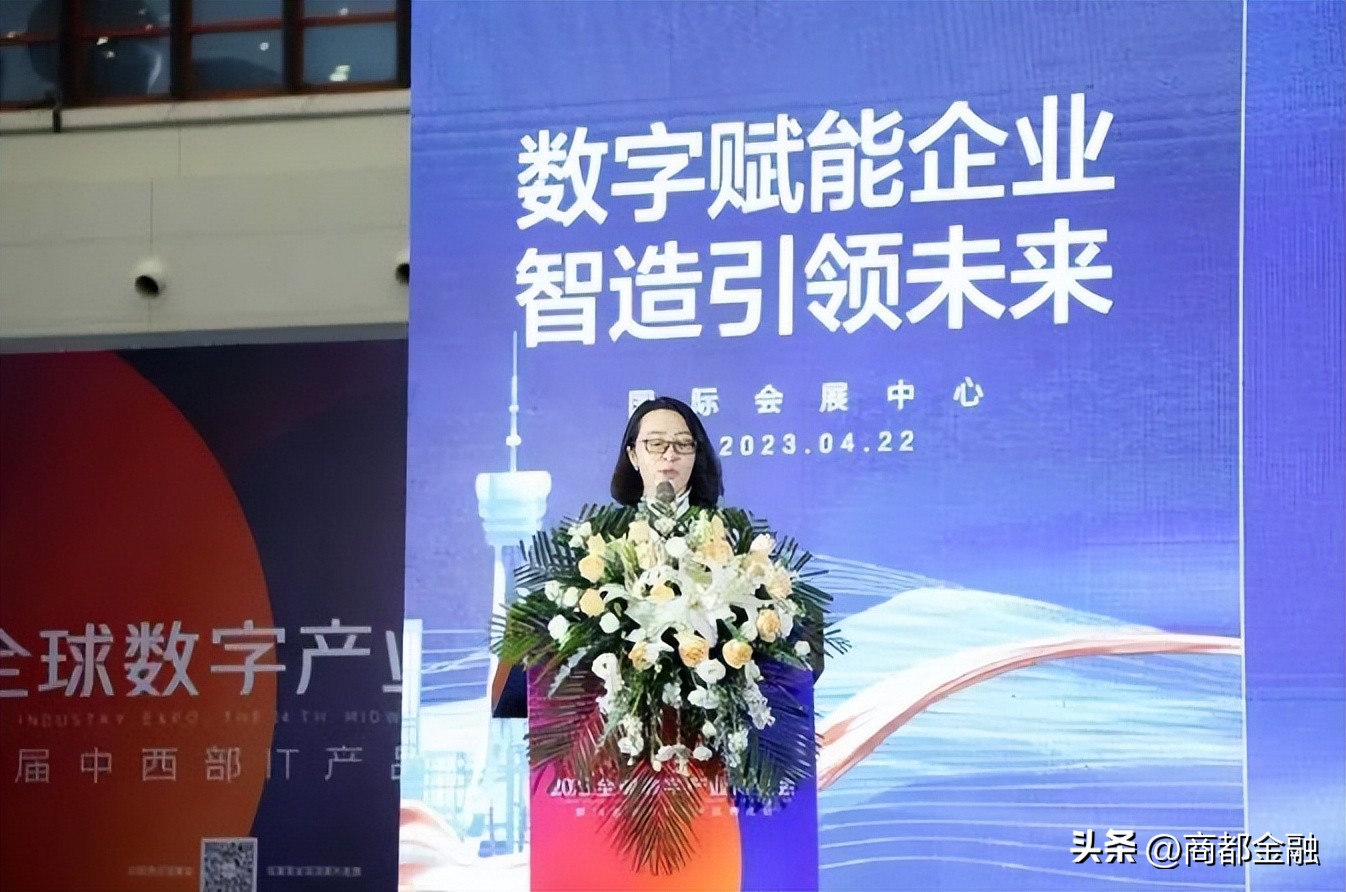 河南数字经济产业协会,河南省数字产业协会