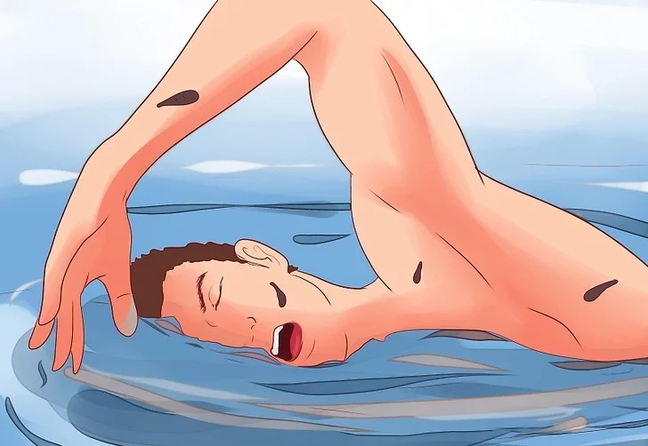 水蛭能吃铁线虫吗,水蛭可以吃蜗牛吗