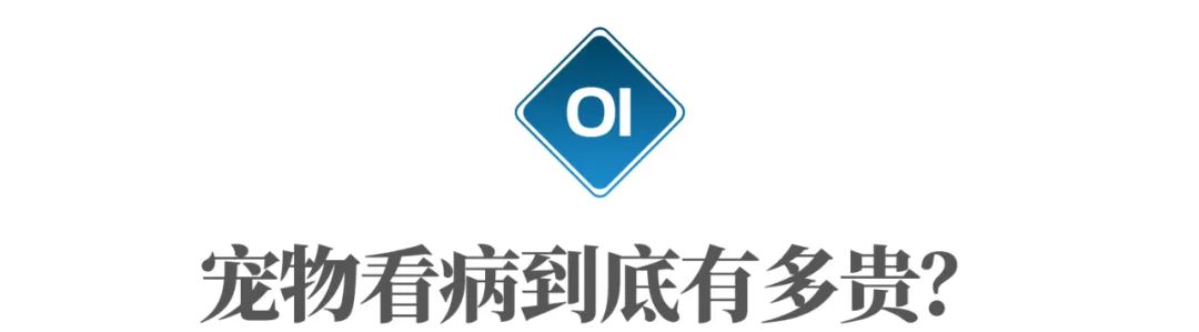 宠物诊所给狗看病贵吗,狗看病有多贵