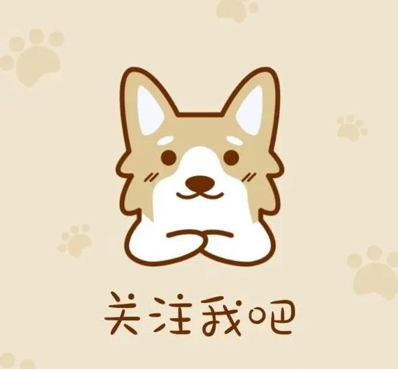 狗狗偏瘦吃什么药好得快,狗狗增肥吃什么食物