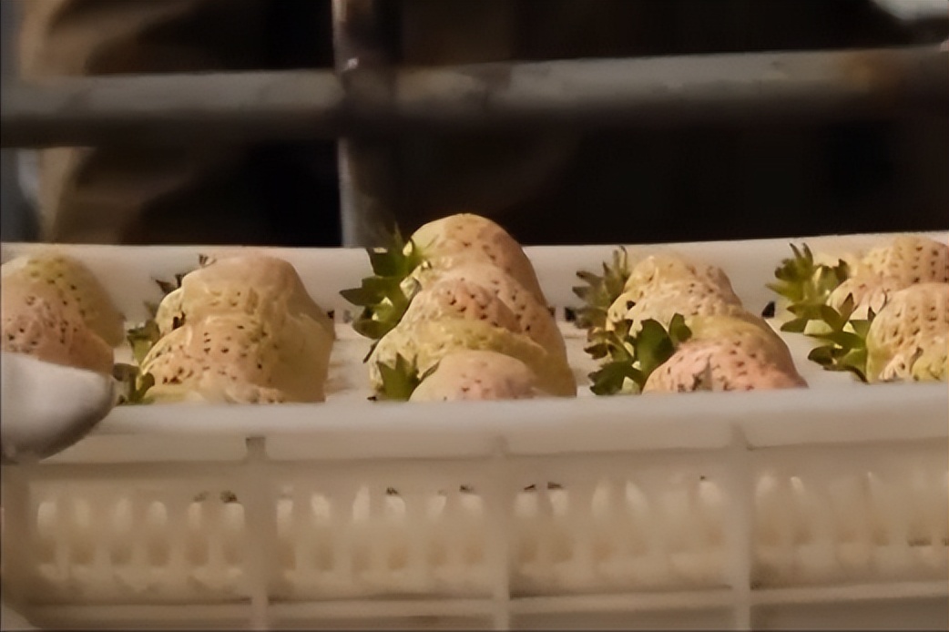 大叔研究彩票十年,大叔盲盒