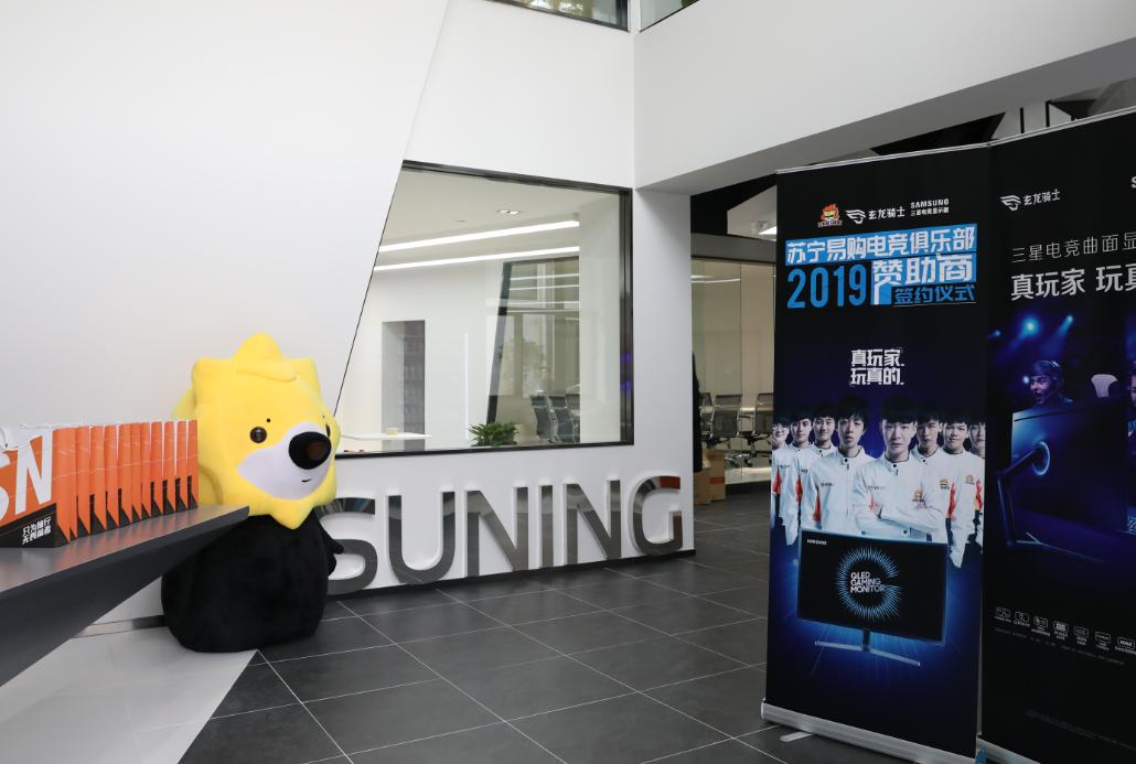 苏宁物流营销策略,苏宁仓储管理建议