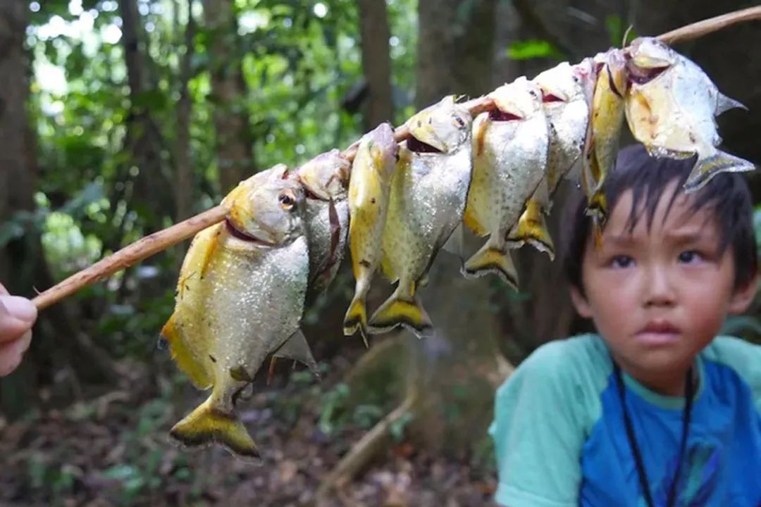 夫妻带着孩子环游世界,小夫妻花90万带娃环游世界