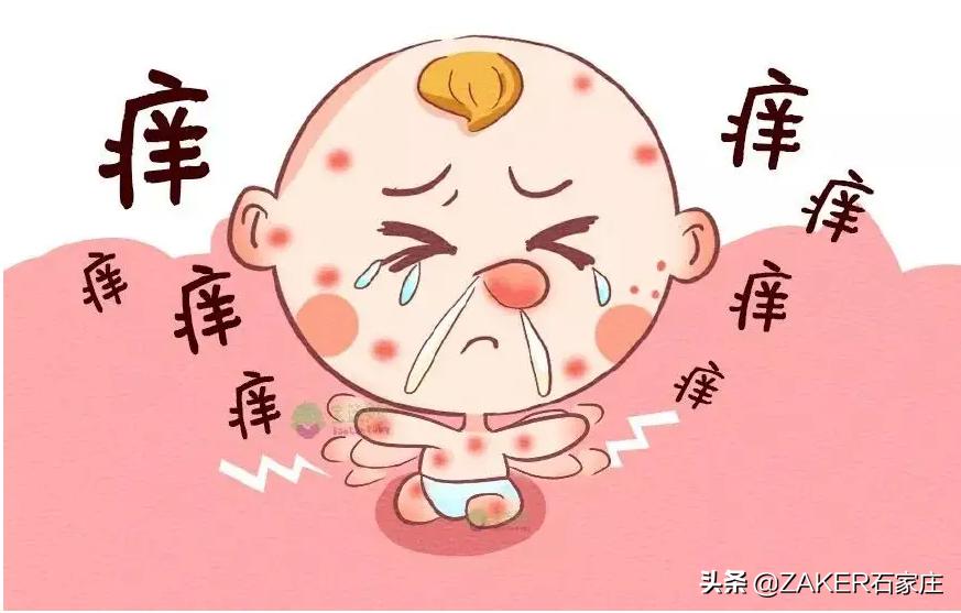 ZAKER石家庄早新闻3.23｜河北公立医疗机构新冠病毒抗原检测最高15元每次；东航坠机，10个已确定和5个待确认