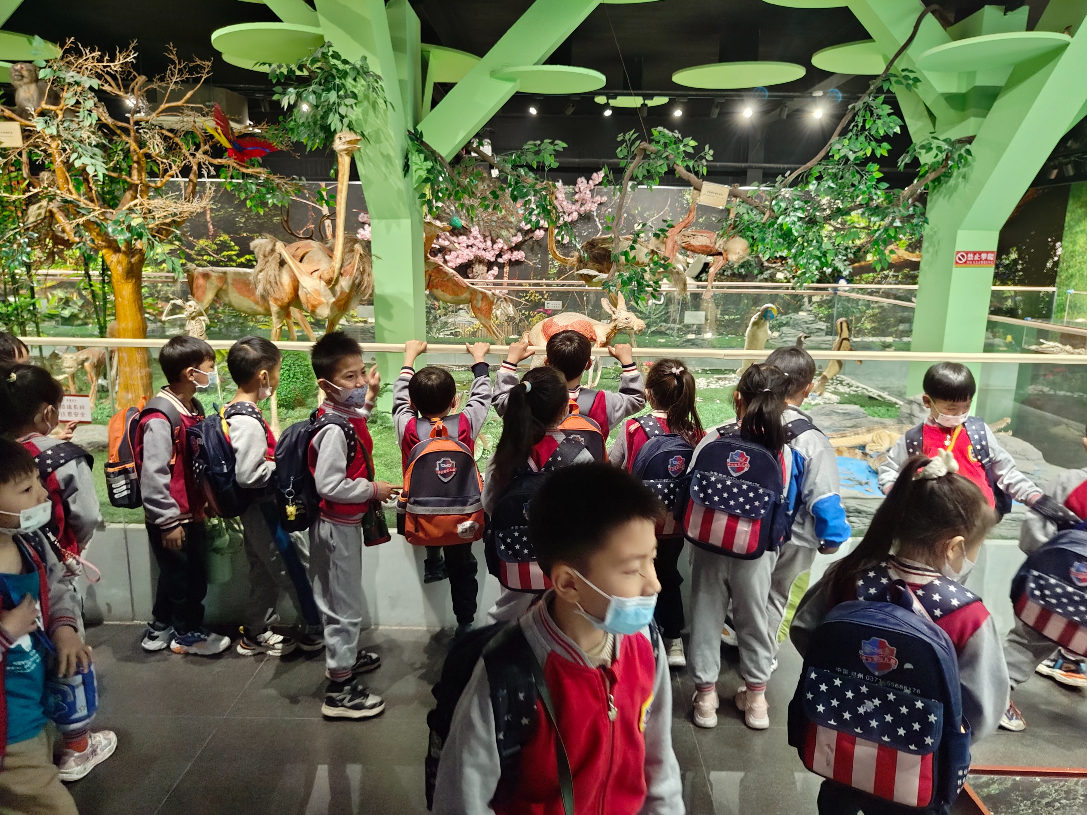 郑州周末学生游玩推荐,郑州夏天周边适合孩子玩免费景点