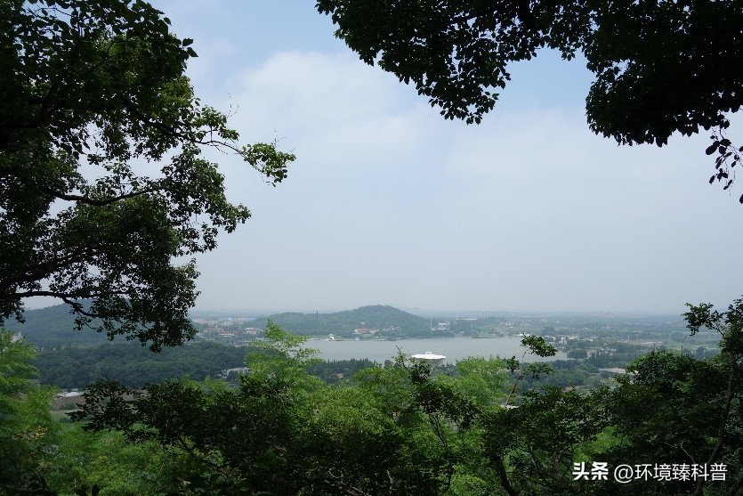 国家森林公园推荐,15个适合周末游的森林公园