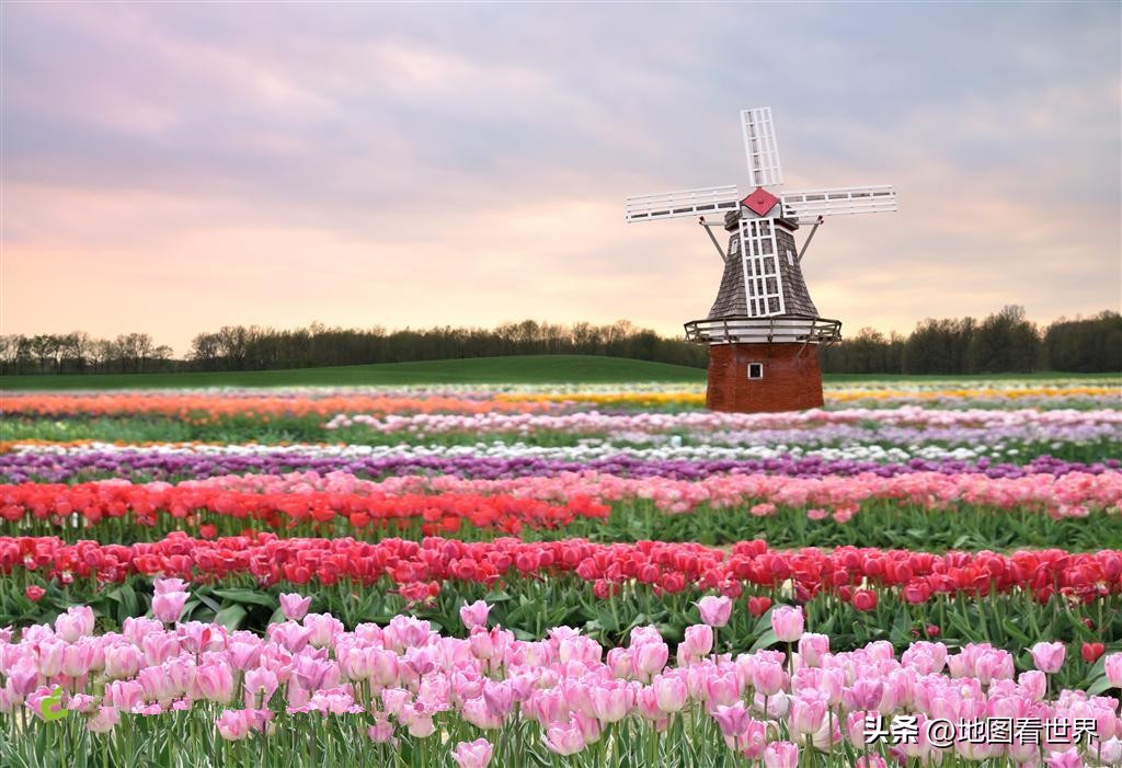 荷兰光刻机是荷兰哪个企业生产的,世界科技强国荷兰排名