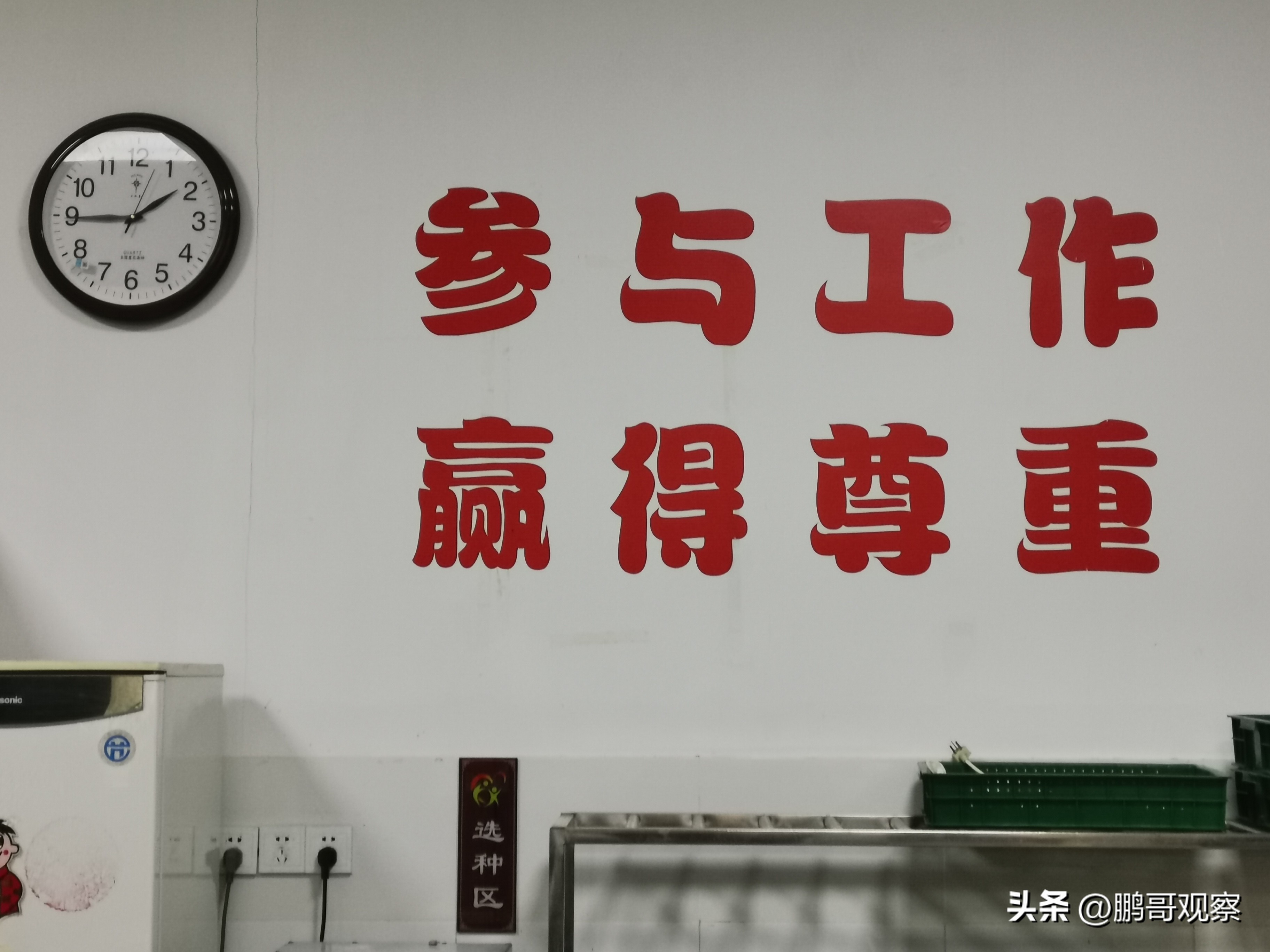 让爱的种子生根发芽,让爱在心中生根发芽