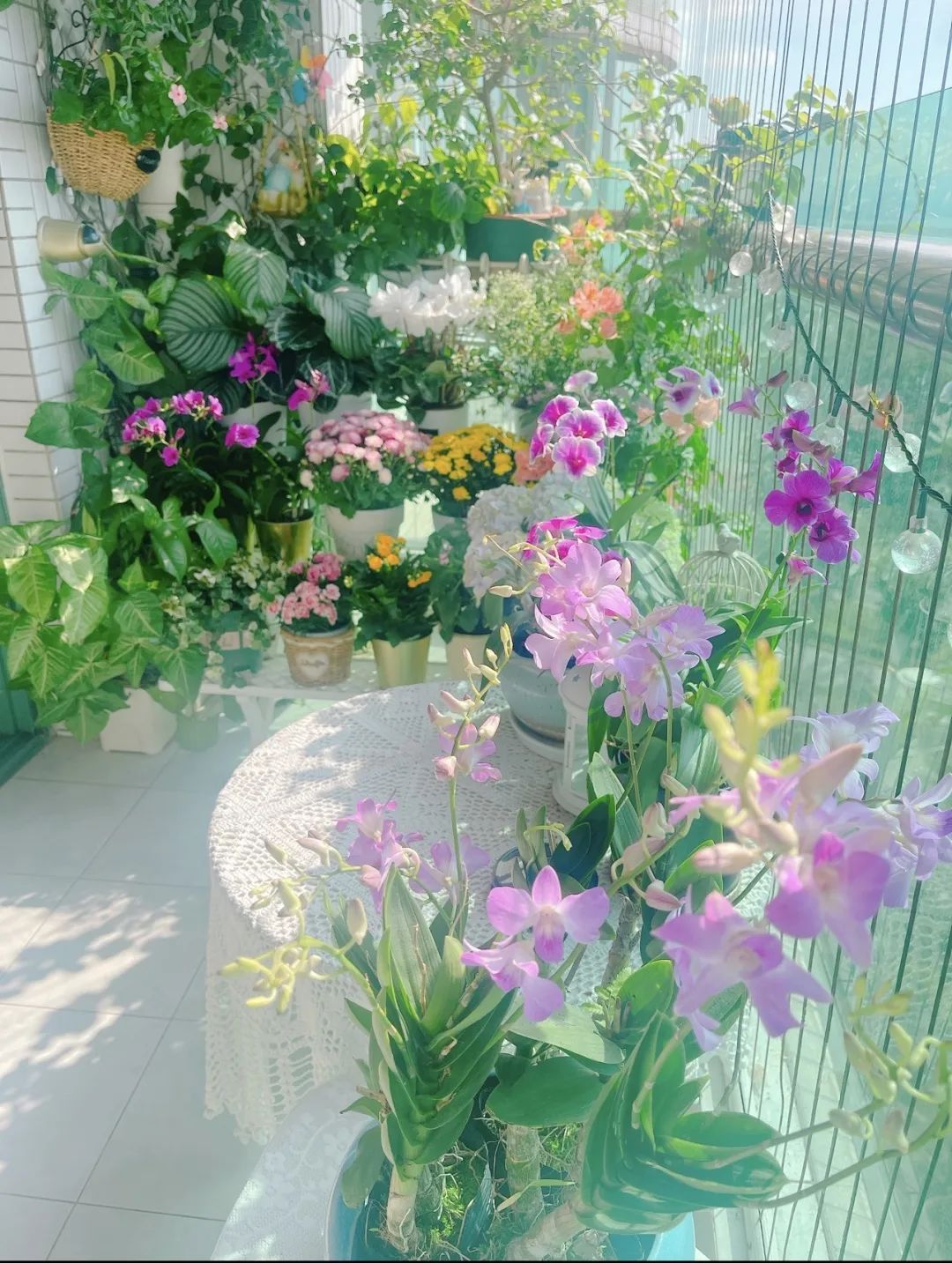 很多人羡慕的阳台,让别人羡慕的阳台