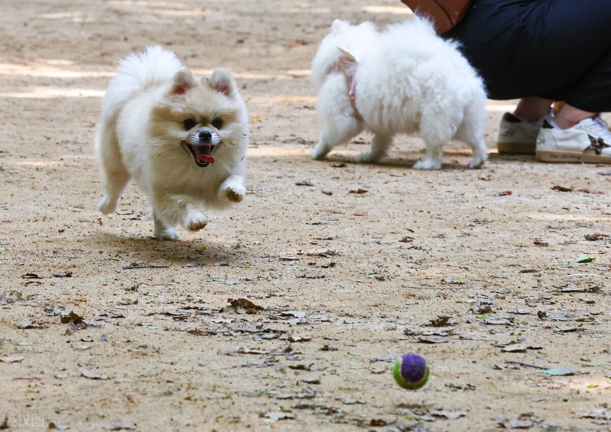 30岁农村小伙啃老,37岁农村小伙在家啃老
