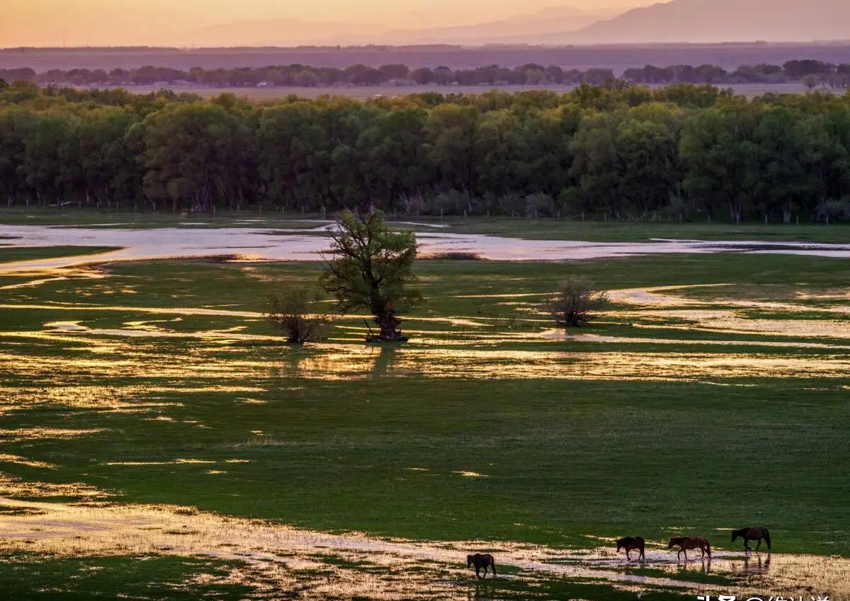 北疆安全稳定屏障图,北疆安全稳定屏障视频