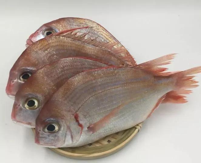 海鲜鱼类排行榜前十名,最便宜的20种海鲜是什么鱼类