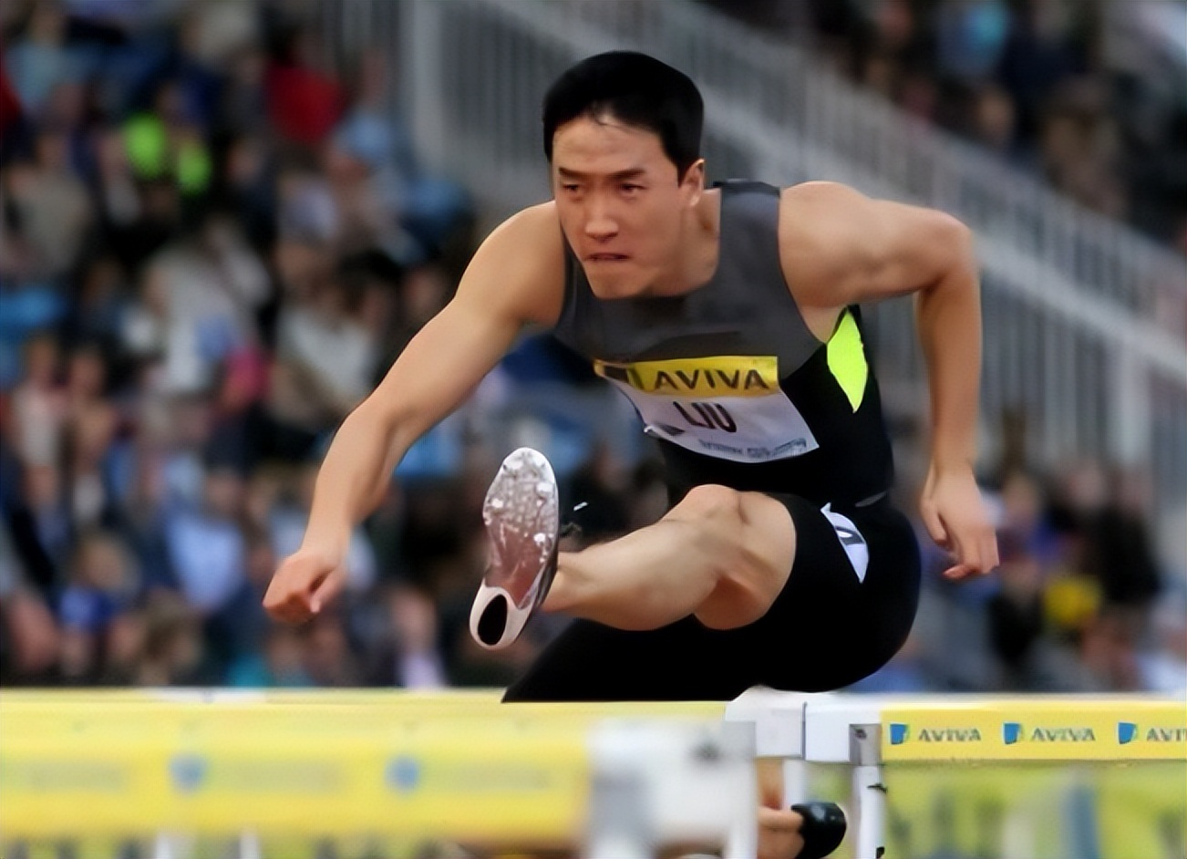 刘翔成为世界冠军的艰苦历程,世界冠军刘翔现在干什么呢