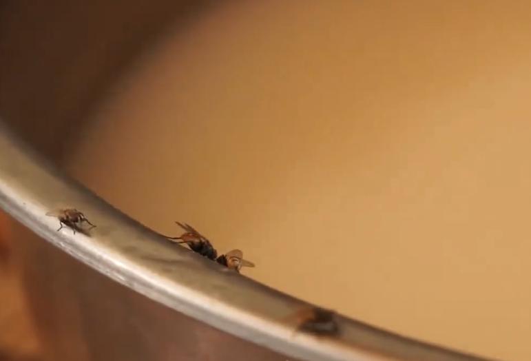 毛里塔尼亚的胖女人,毛里塔尼亚女人有多胖