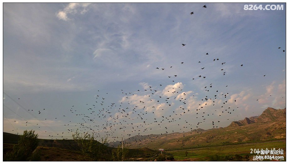 内蒙古自驾游达里诺尔,内蒙古达里诺尔湖旅游视频