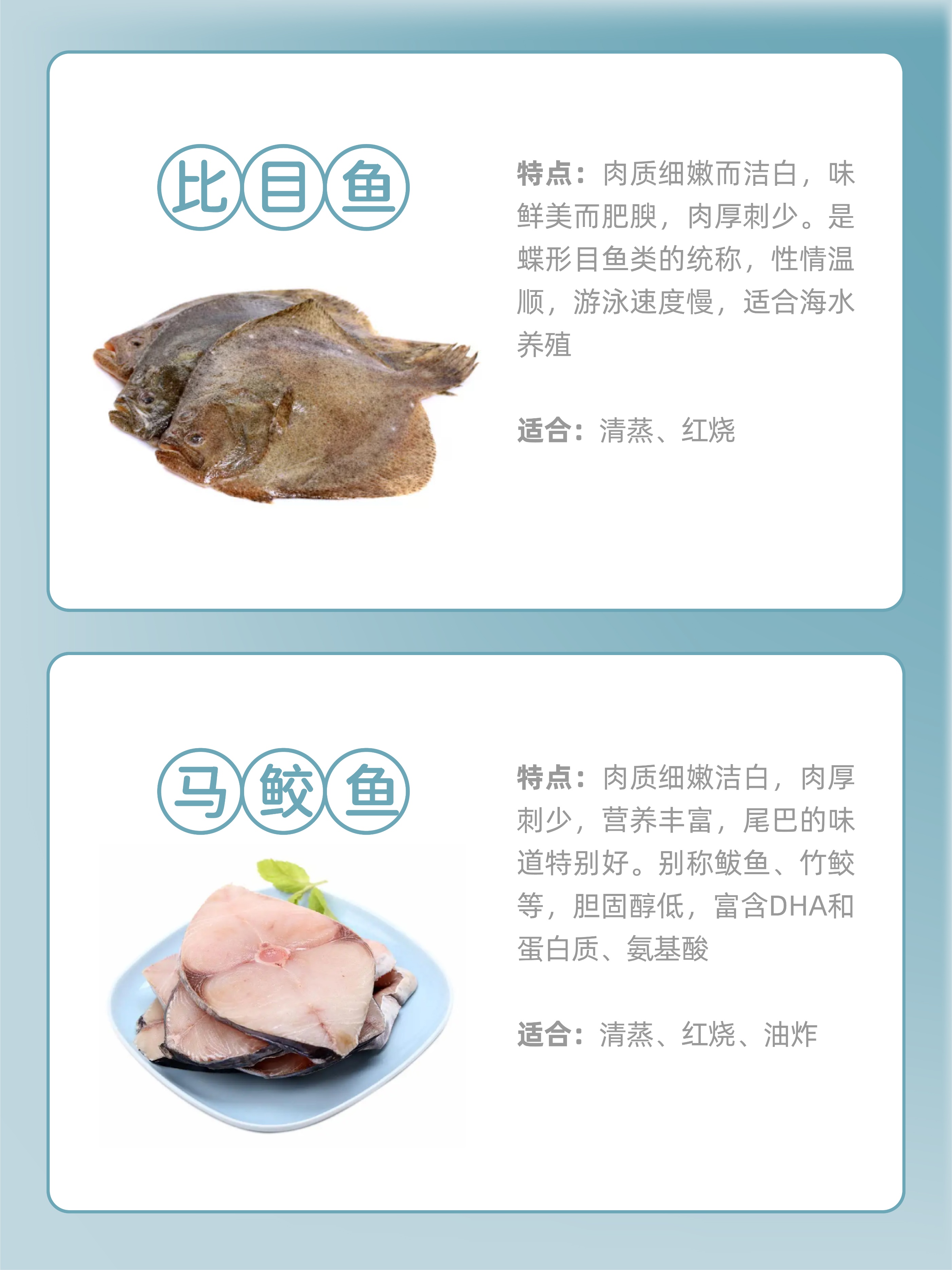 连云港常见海鱼种类,厦门常见海鱼种类