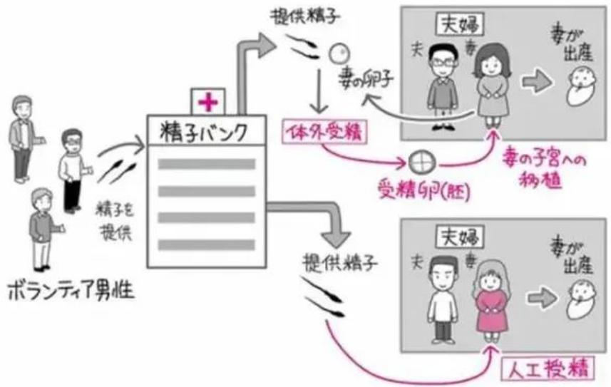 最强“配种王”一年捐精超百次：日本人为了“小蝌蚪”多么疯狂？