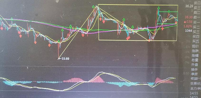 金蛋走势图,看走势图能推断出一等奖吗