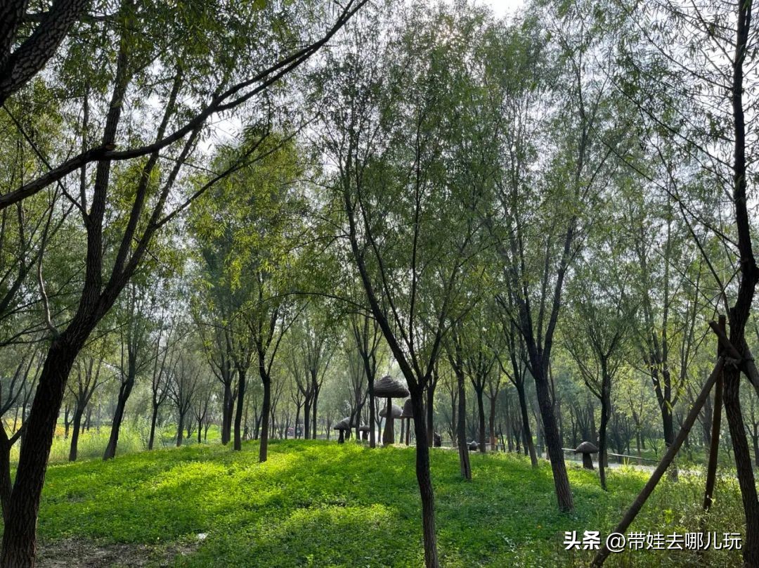 藏在二环的超小众免费公园,免费游玩的小公园