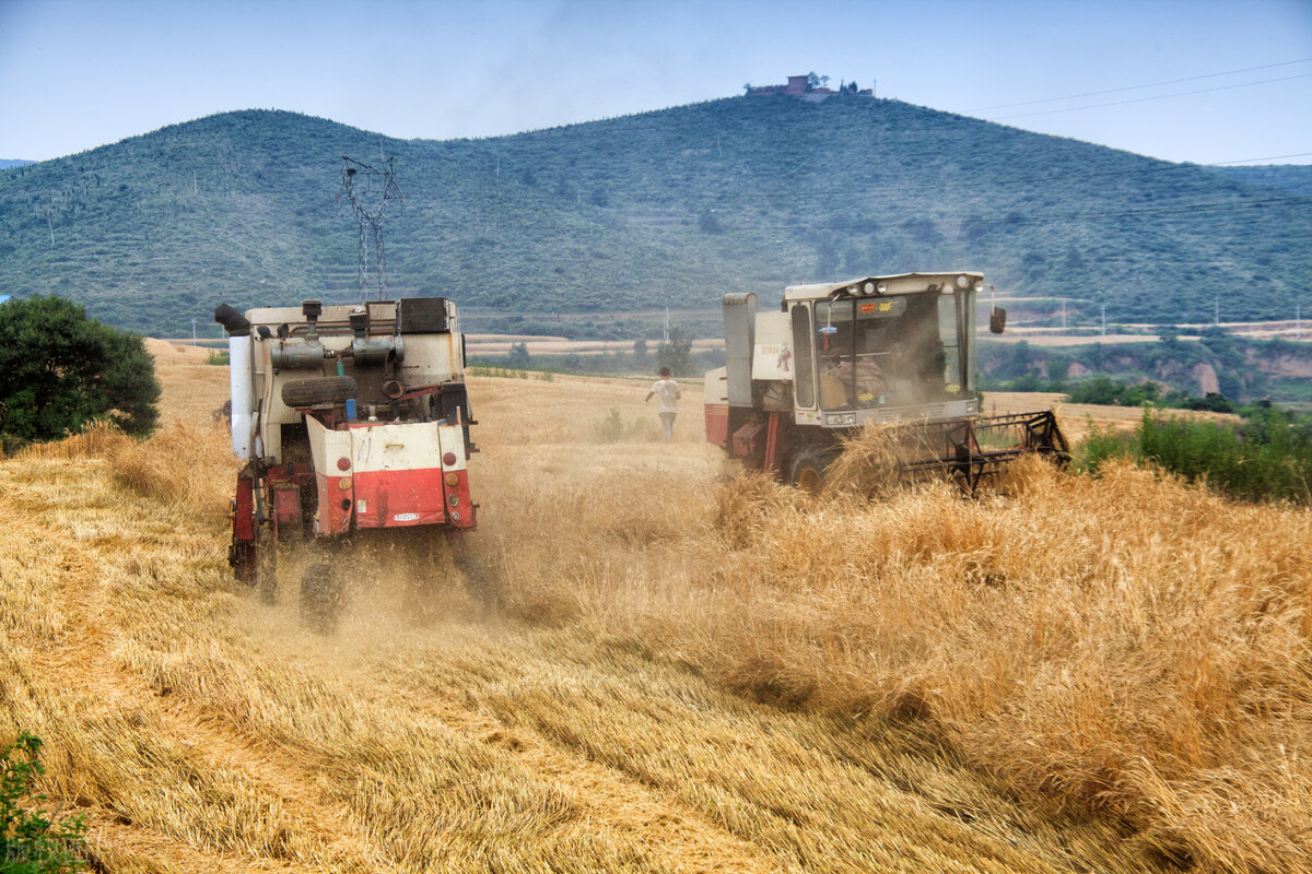 美玉米再便宜也不进口，还口出狂言等我国求购？给美国上了一课！