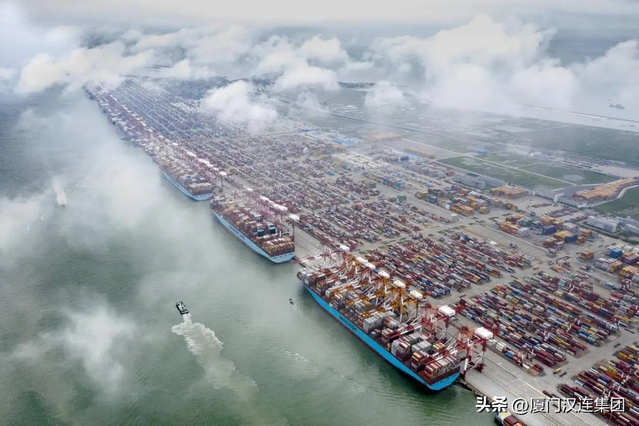 船公司在印度和巴西开设新仓库，中美线运费已跌60%，狂欢结束