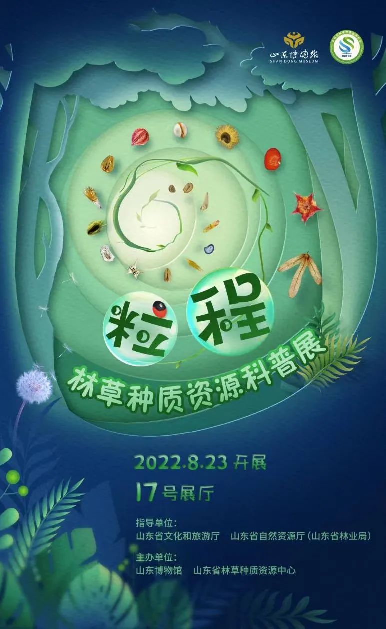 济南在哪里买电影票便宜,济南买电影票省钱的方法