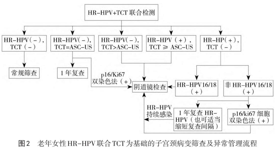 老年女性的宫颈癌筛查及异常管理,这种方法很重要!
