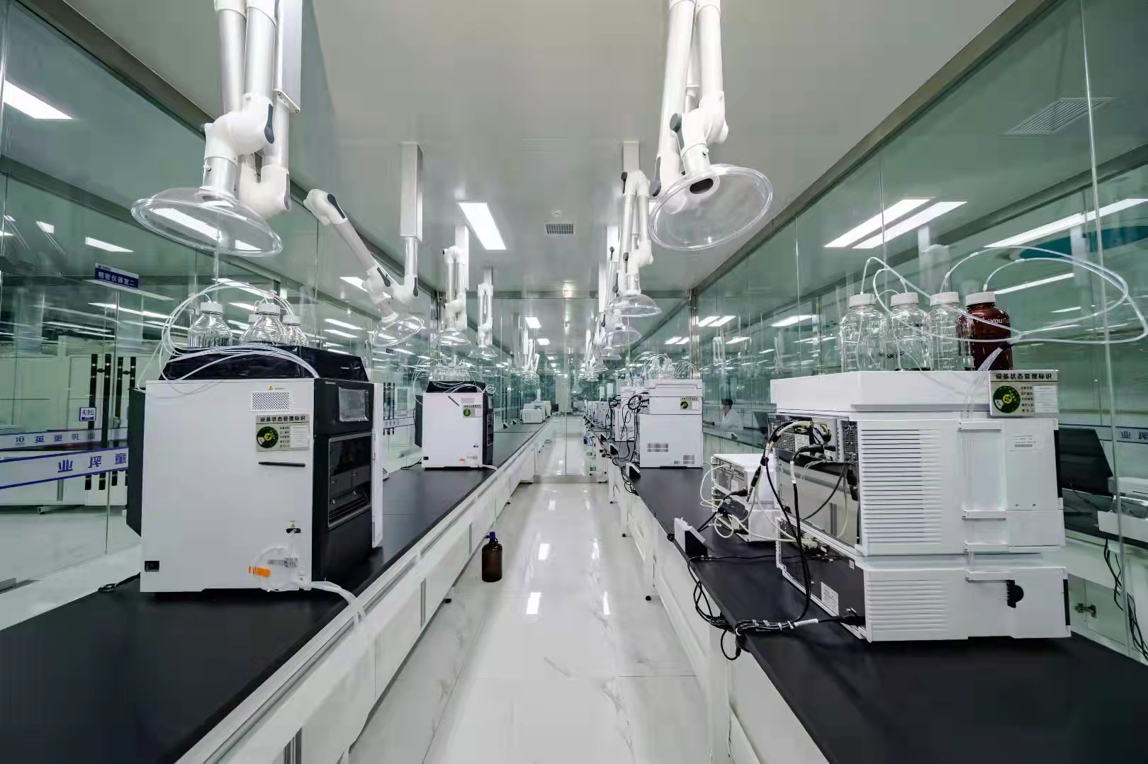 张鸽,张鸽羊奶霜怎么样