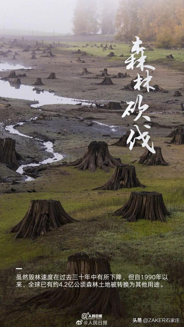 石家庄农批接驳专线,石家庄农批中心接驳专线