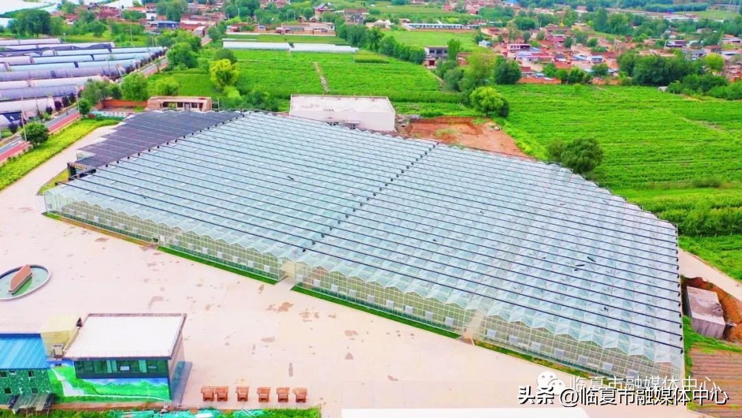 为高质量发展高质量跨越贡献力量,为高质量发展开好局