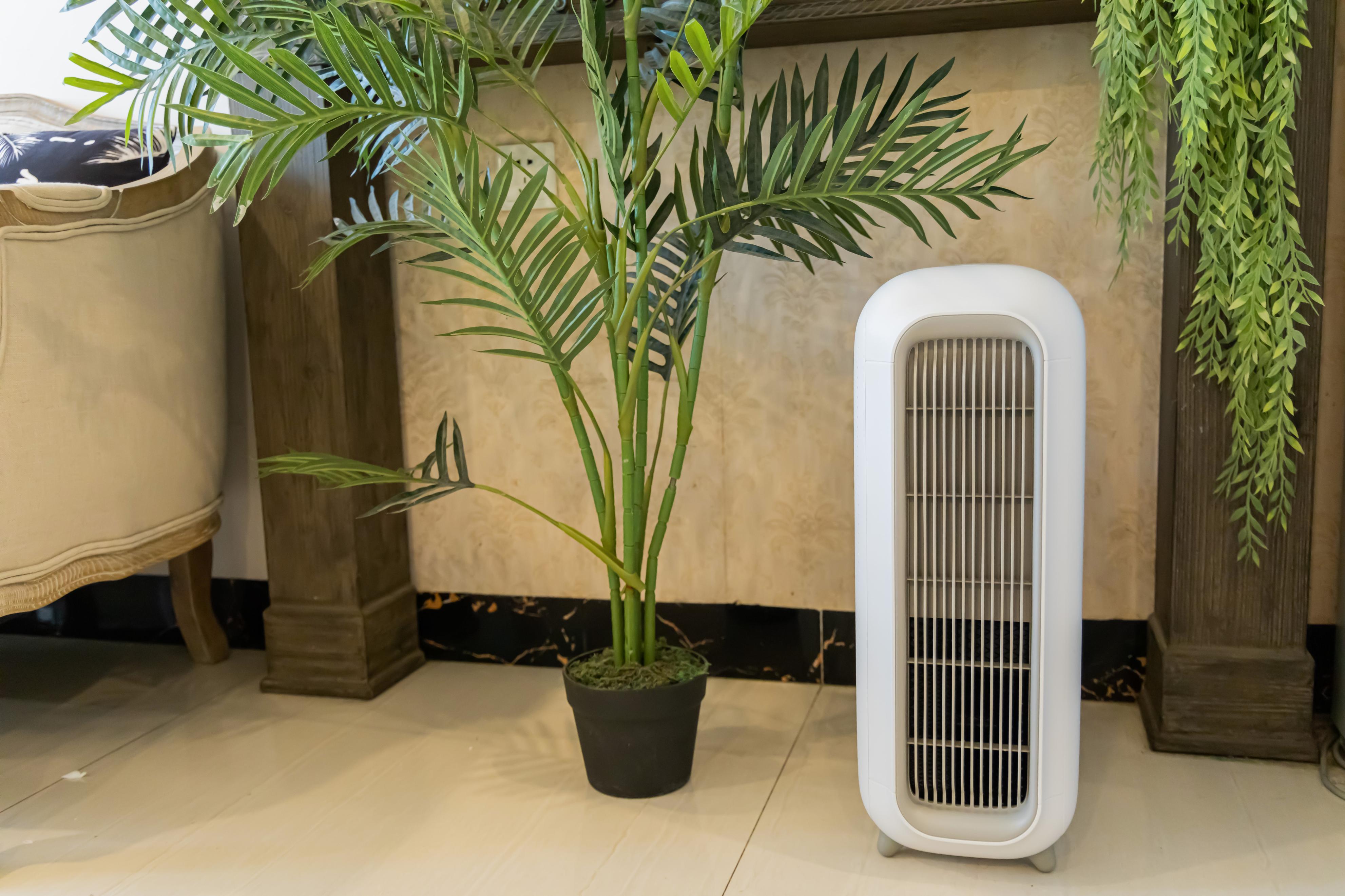 最新家电清单推荐性价比高的,这4类东西不建议在网上买