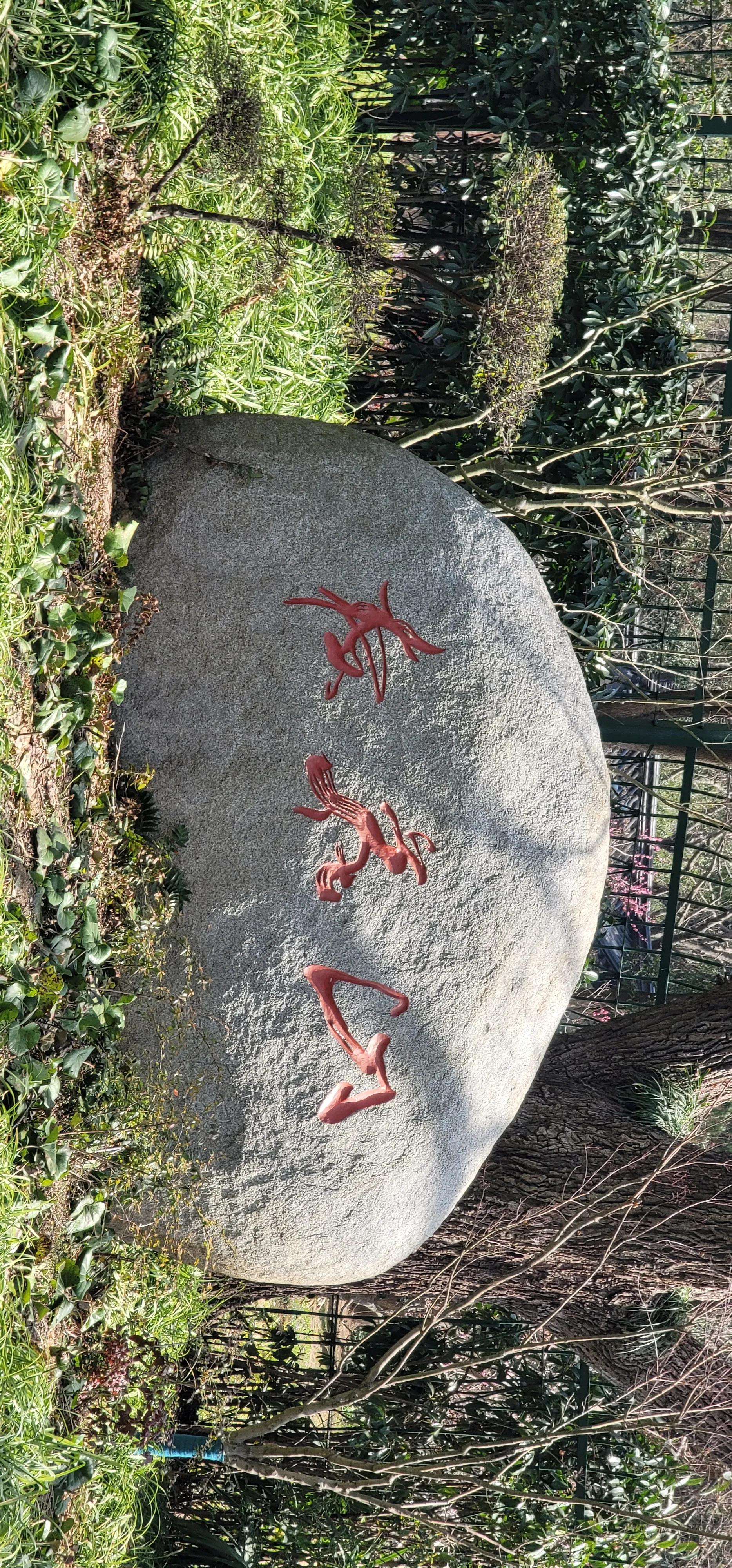 开着沪牌回老家怎么样,开着大巴玩转江浙沪