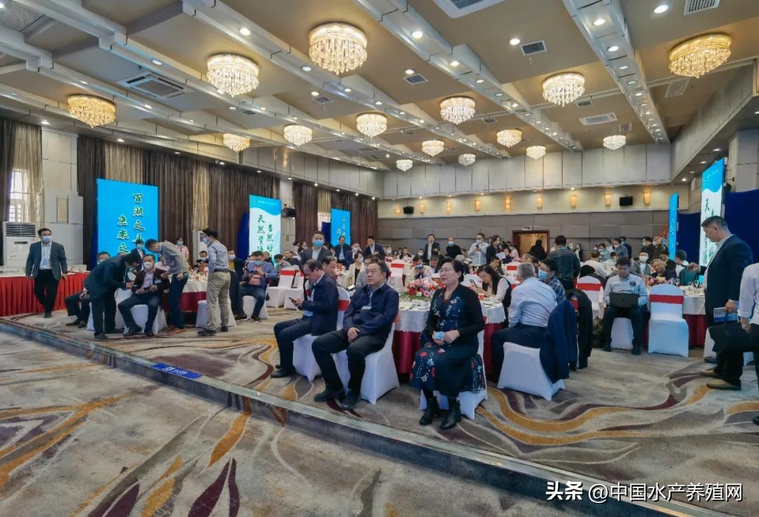 阳澄湖大闸蟹路线图,去阳澄湖大闸蟹攻略路线