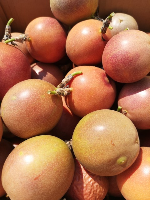 南宁的新南北方饮食差异,一个北方人的印象