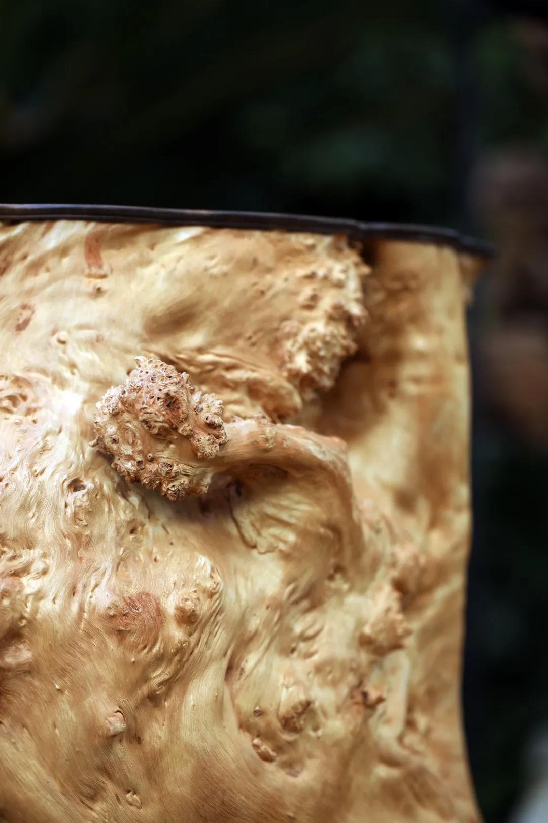 荔枝木广西,荔枝木大木墩