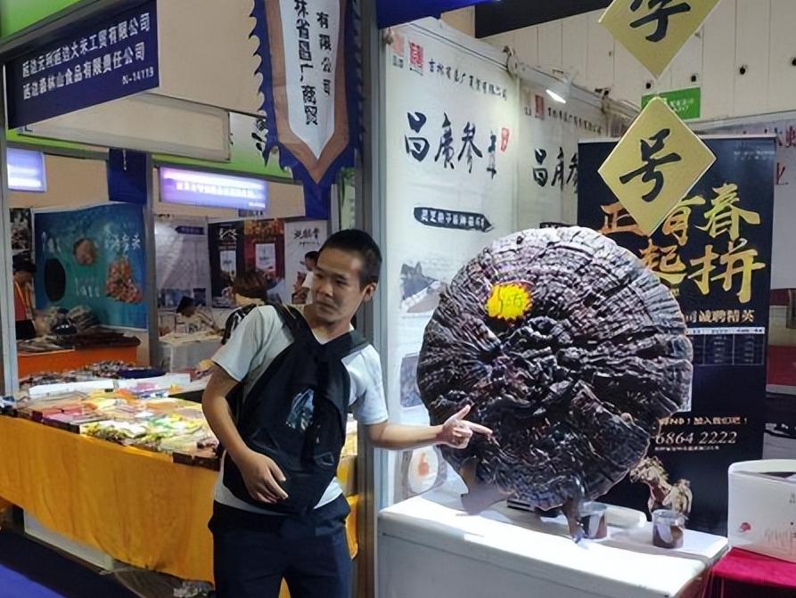 村民挖到肉灵芝是什么,村民挖到肉灵芝后续