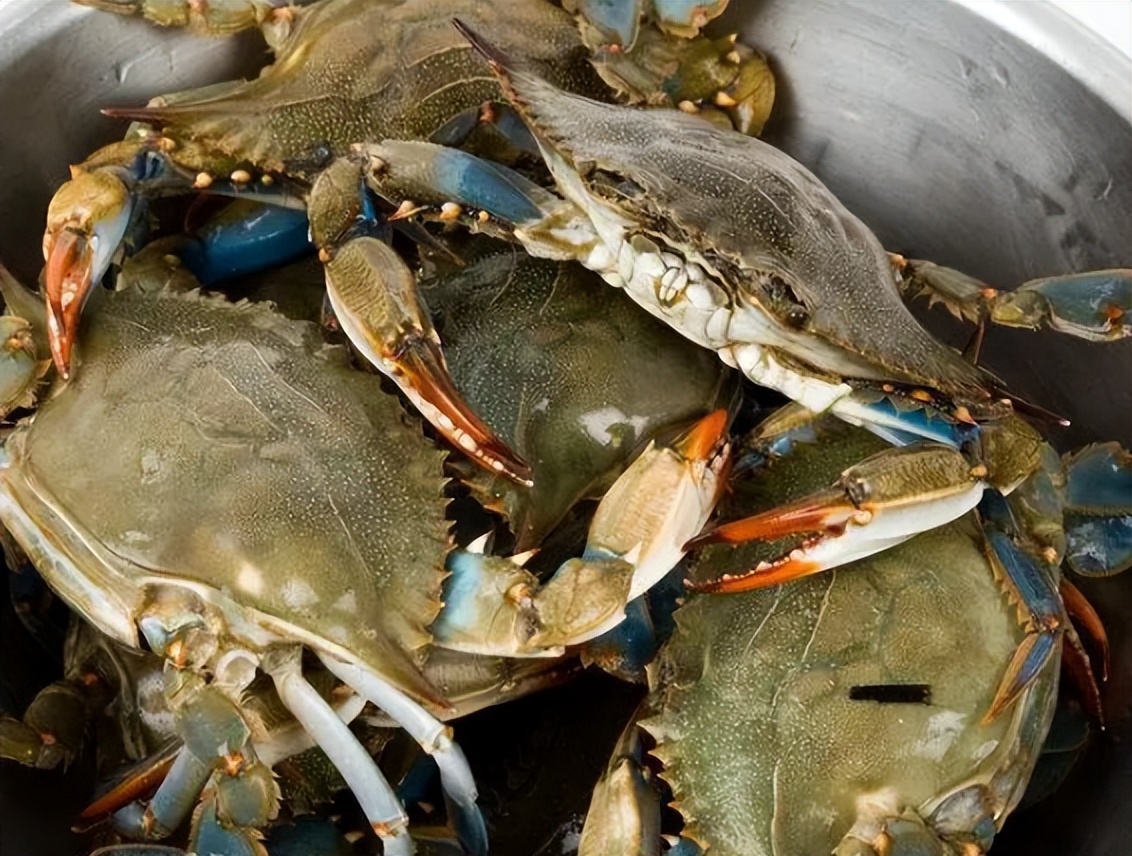 千万要注意六种寄生虫多的食物,提醒6种食物是寄生虫的重灾区