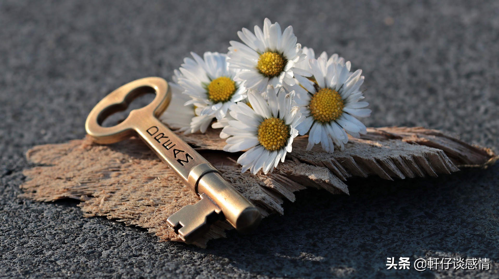 什么样的女生受男生欢迎,女生受男生欢迎的细节