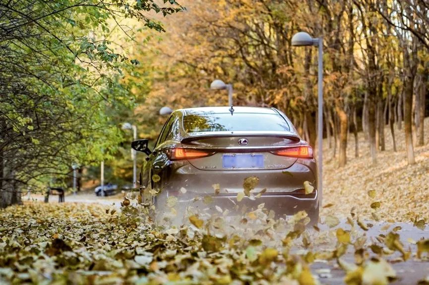 手机已成为生活的一部分,抖音成为了生活的一部分