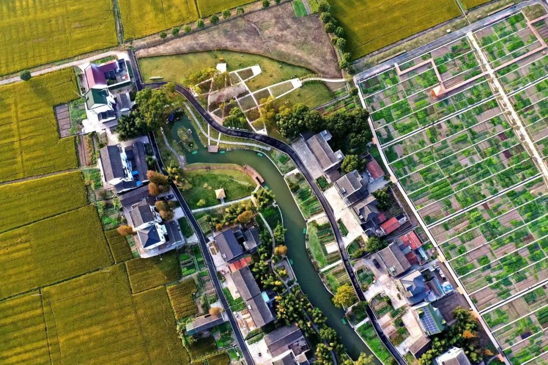 看过来永州重点项目,平湖市即将开建的大项目